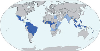 Länder, in denen Zika-Virus-Infektionen durch Stechmücken-Übertragung in der Vergangenheit aufgetreten sind (Stand: Januar 2016). ©wikipedia