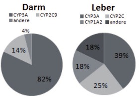 Abb. 2 Verteilung der CYP-Isoenzyme in Dünndarm und  Leber